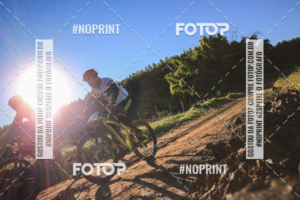 Buy your photos of the eventWolf Series - Botucatu on Fotop