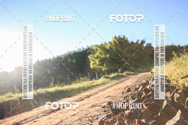 Buy your photos of the eventWolf Series - Botucatu on Fotop