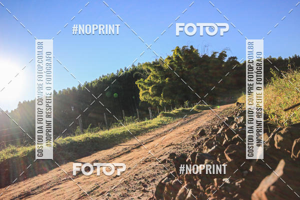 Buy your photos of the eventWolf Series - Botucatu on Fotop