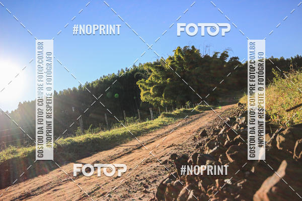 Buy your photos of the eventWolf Series - Botucatu on Fotop