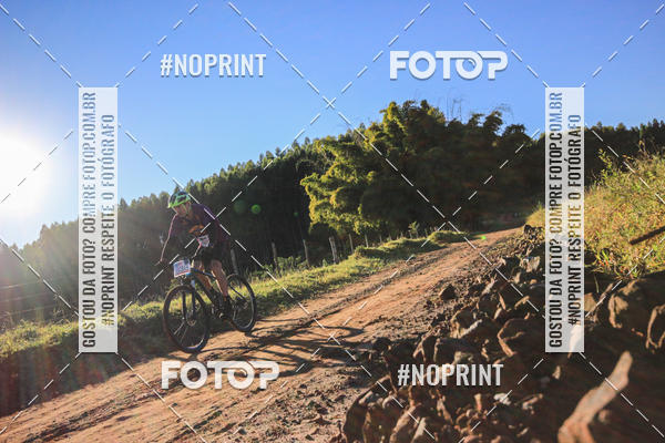 Buy your photos of the eventWolf Series - Botucatu on Fotop