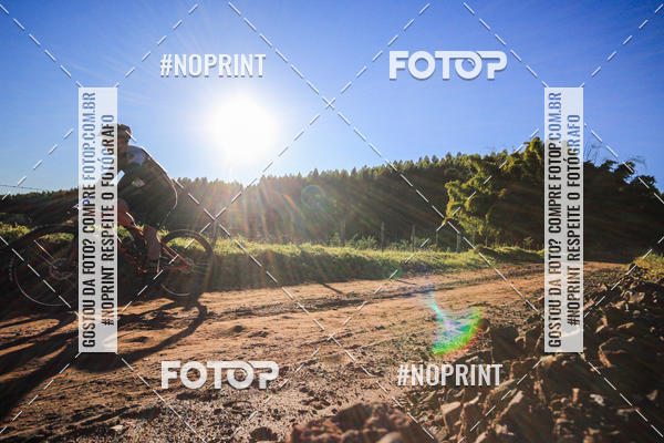 Buy your photos of the eventWolf Series - Botucatu on Fotop