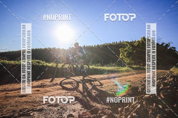 Buy your photos of the eventWolf Series - Botucatu on Fotop