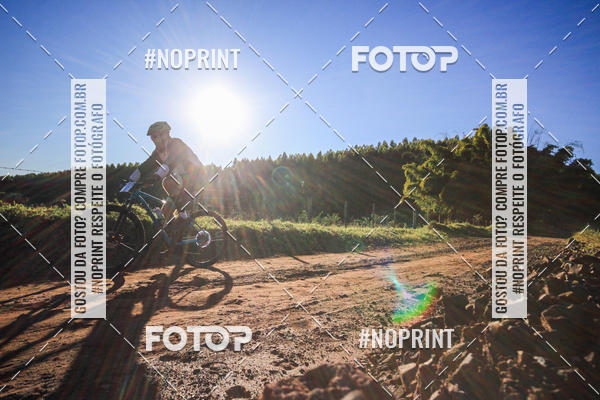 Buy your photos of the eventWolf Series - Botucatu on Fotop