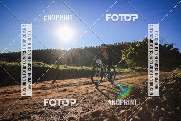 Buy your photos of the eventWolf Series - Botucatu on Fotop