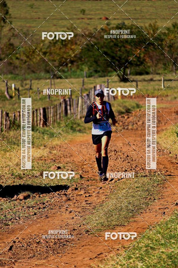 Achetez vos photos de l'vnementWolf Series - Botucatu sur Fotop