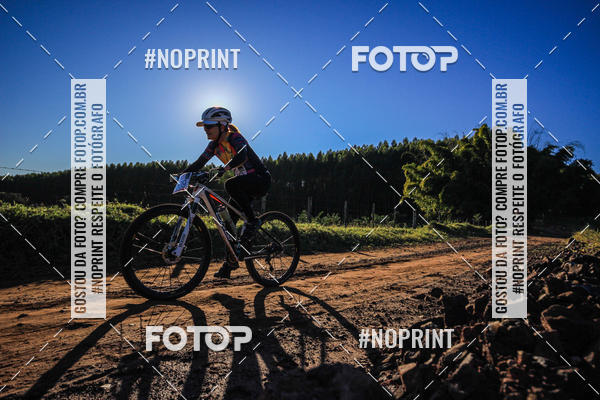 Buy your photos of the eventWolf Series - Botucatu on Fotop