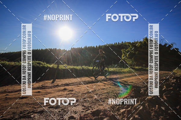 Buy your photos of the eventWolf Series - Botucatu on Fotop