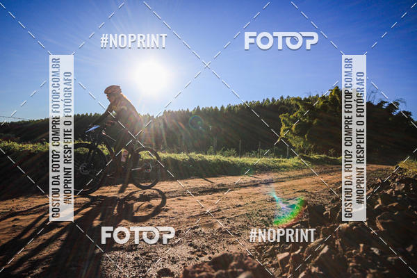 Buy your photos of the eventWolf Series - Botucatu on Fotop