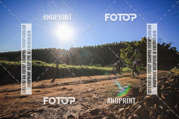 Buy your photos of the eventWolf Series - Botucatu on Fotop