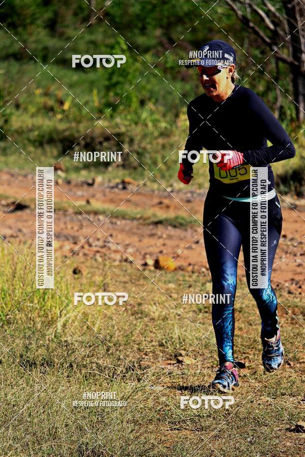 Achetez vos photos de l'vnementWolf Series - Botucatu sur Fotop