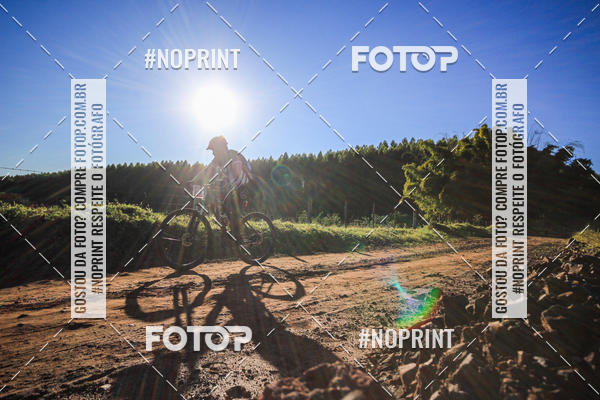 Buy your photos of the eventWolf Series - Botucatu on Fotop