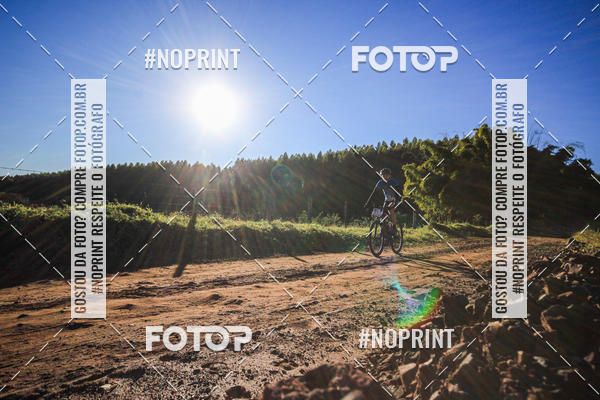 Buy your photos of the eventWolf Series - Botucatu on Fotop