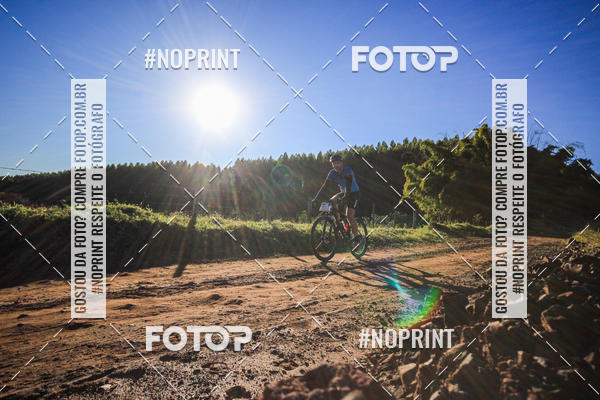 Buy your photos of the eventWolf Series - Botucatu on Fotop