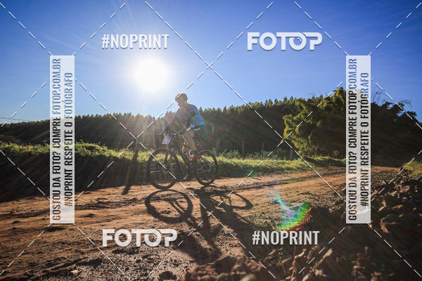 Buy your photos of the eventWolf Series - Botucatu on Fotop