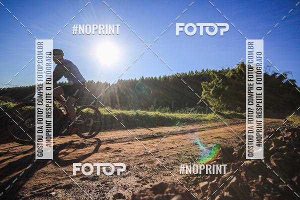 Buy your photos of the eventWolf Series - Botucatu on Fotop