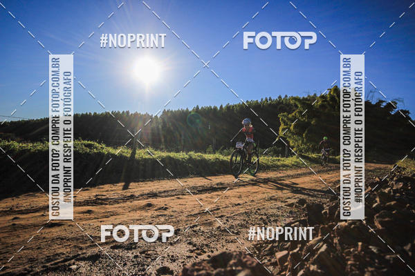 Buy your photos of the eventWolf Series - Botucatu on Fotop