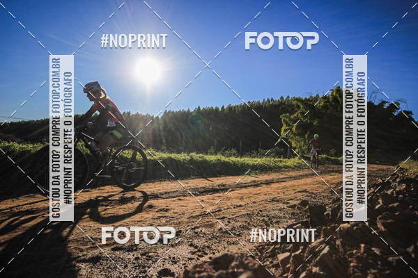 Buy your photos of the eventWolf Series - Botucatu on Fotop