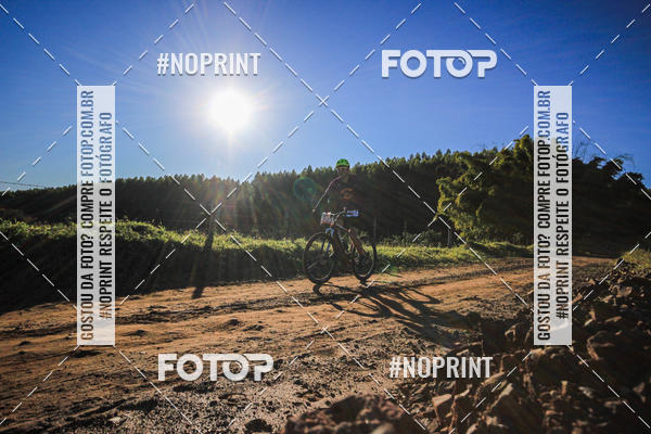 Buy your photos of the eventWolf Series - Botucatu on Fotop