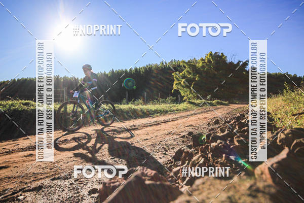 Buy your photos of the eventWolf Series - Botucatu on Fotop