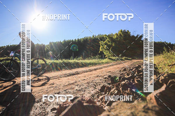 Buy your photos of the eventWolf Series - Botucatu on Fotop