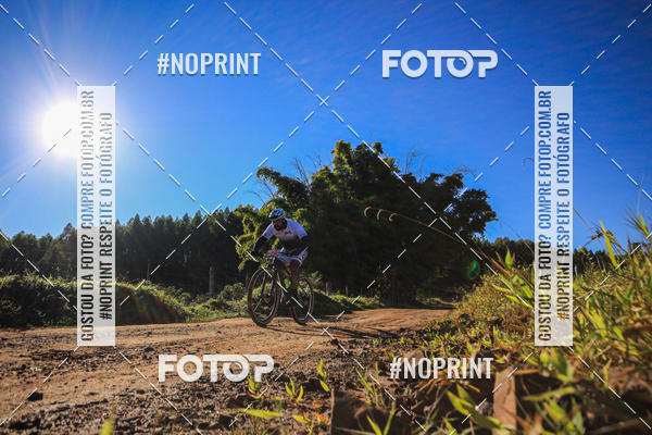 Buy your photos of the eventWolf Series - Botucatu on Fotop