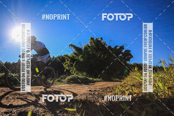 Buy your photos of the eventWolf Series - Botucatu on Fotop