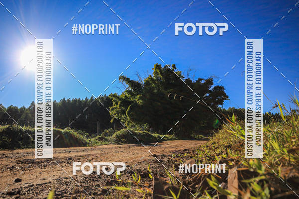 Buy your photos of the eventWolf Series - Botucatu on Fotop