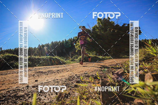 Buy your photos of the eventWolf Series - Botucatu on Fotop