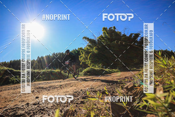 Buy your photos of the eventWolf Series - Botucatu on Fotop