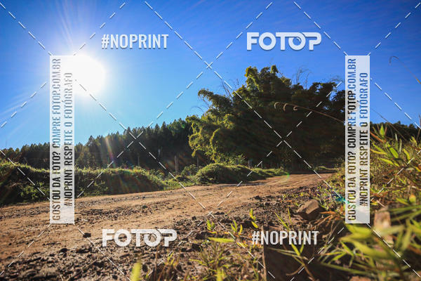 Buy your photos of the eventWolf Series - Botucatu on Fotop