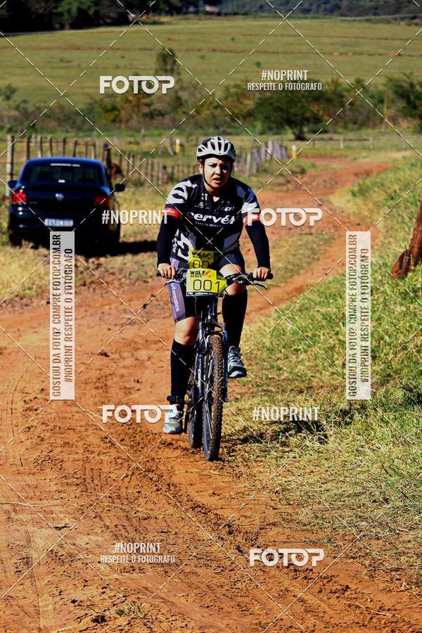 Buy your photos of the eventWolf Series - Botucatu on Fotop