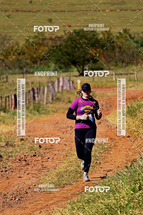 Achetez vos photos de l'vnementWolf Series - Botucatu sur Fotop