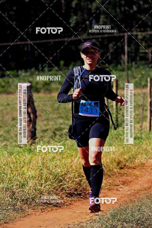 Buy your photos of the eventWolf Series - Botucatu on Fotop