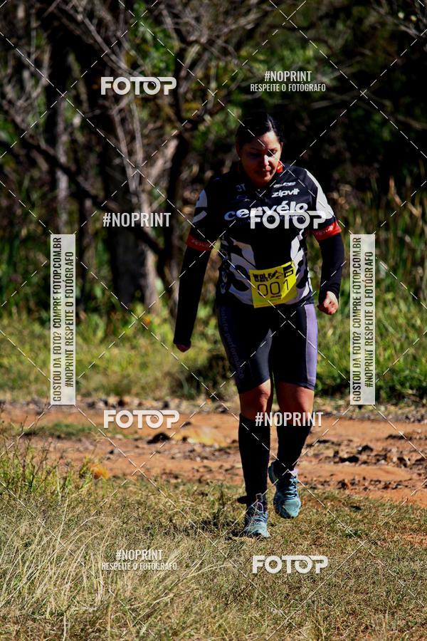 Buy your photos of the eventWolf Series - Botucatu on Fotop