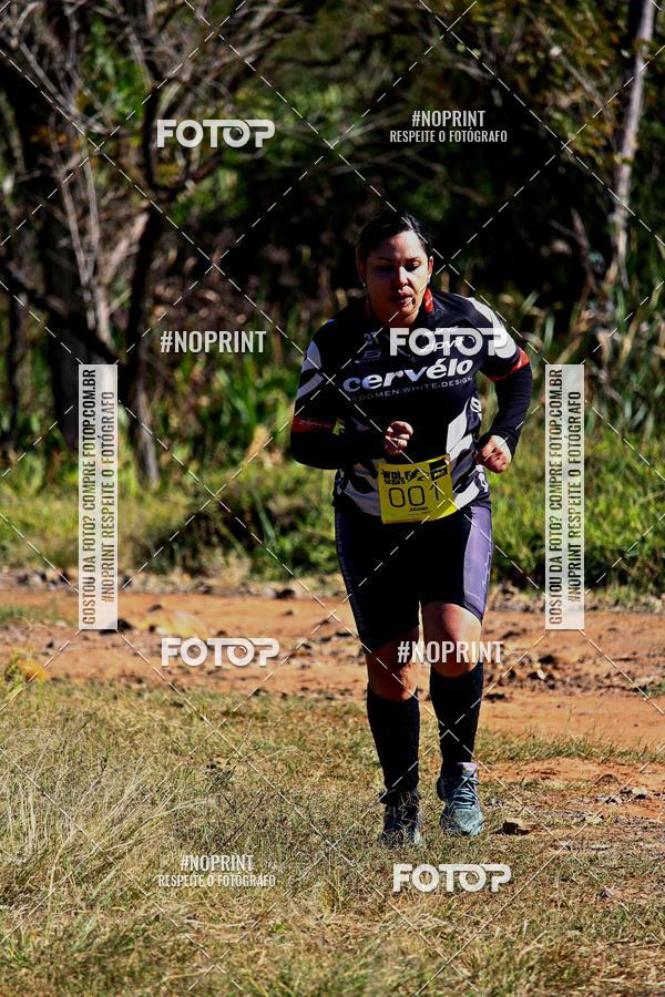 Buy your photos of the eventWolf Series - Botucatu on Fotop