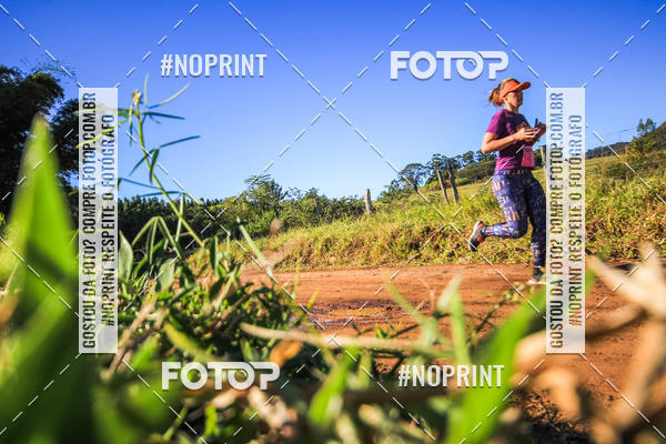 Achetez vos photos de l'vnementWolf Series - Botucatu sur Fotop