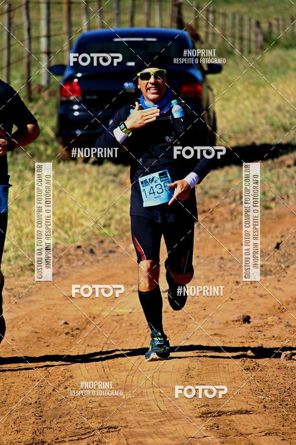 Buy your photos of the eventWolf Series - Botucatu on Fotop