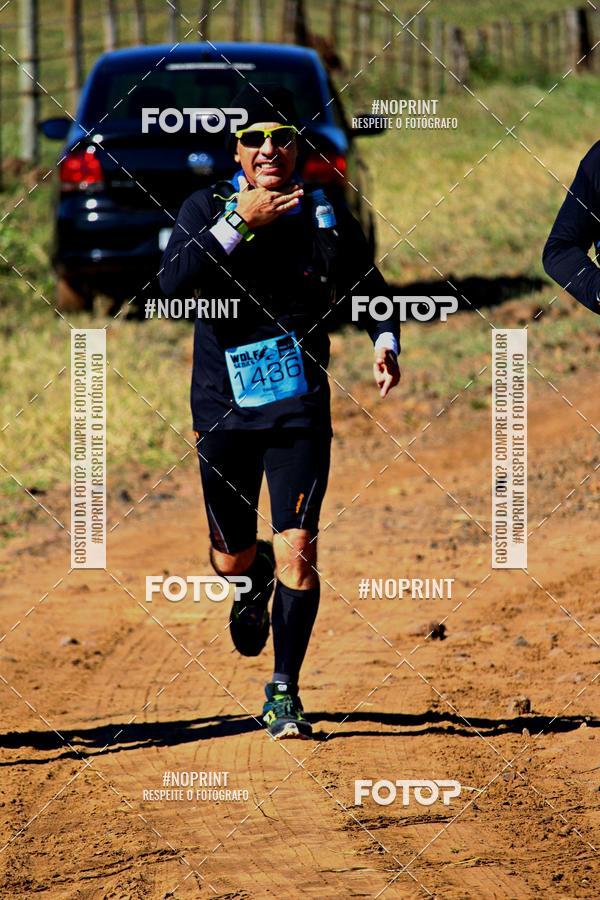 Buy your photos of the eventWolf Series - Botucatu on Fotop