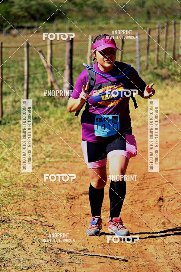 Buy your photos of the eventWolf Series - Botucatu on Fotop