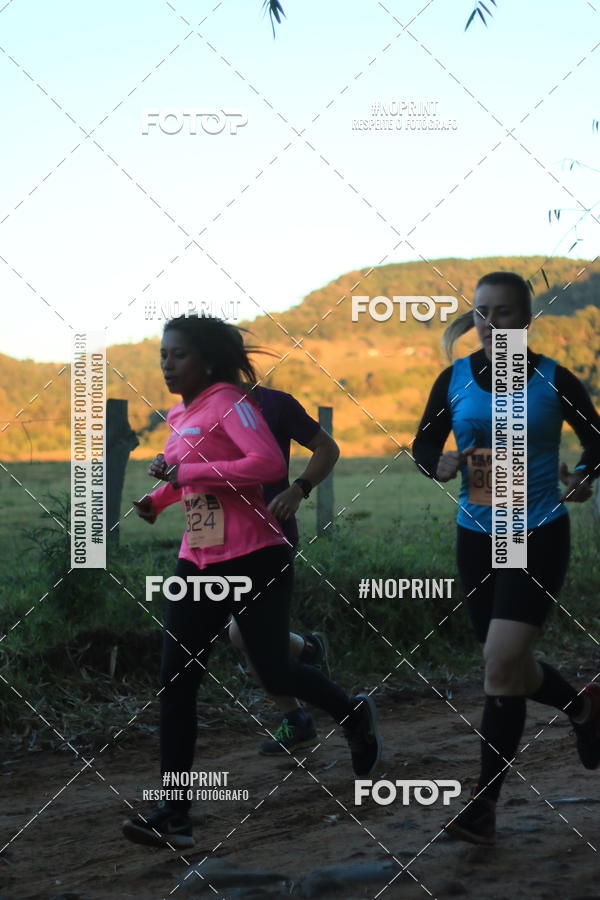 Buy your photos of the eventWolf Series - Botucatu on Fotop