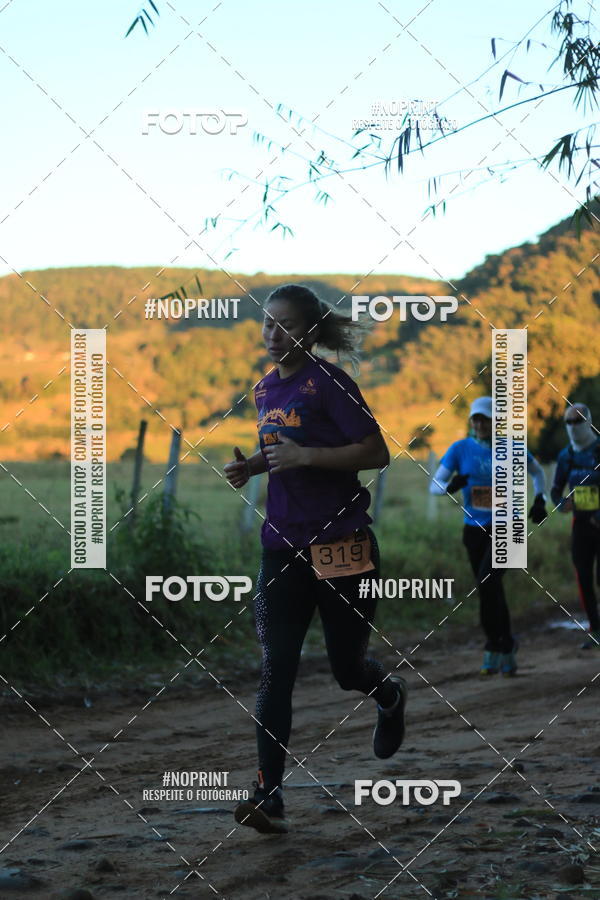 Buy your photos of the eventWolf Series - Botucatu on Fotop