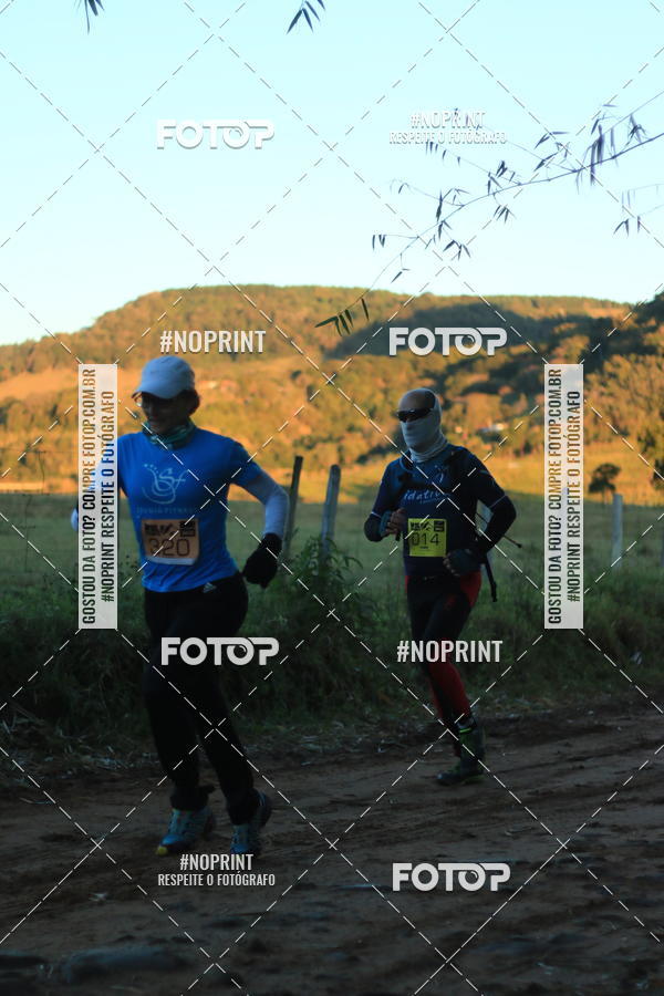 Buy your photos of the eventWolf Series - Botucatu on Fotop