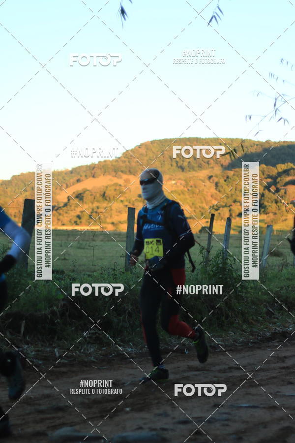 Buy your photos of the eventWolf Series - Botucatu on Fotop