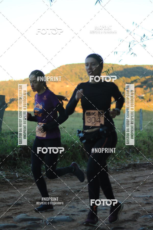 Buy your photos of the eventWolf Series - Botucatu on Fotop