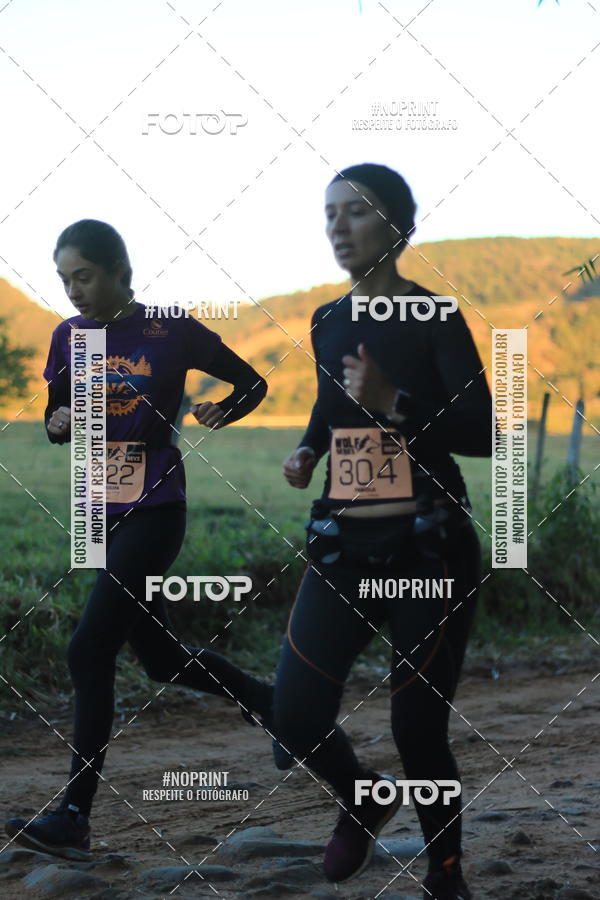 Buy your photos of the eventWolf Series - Botucatu on Fotop