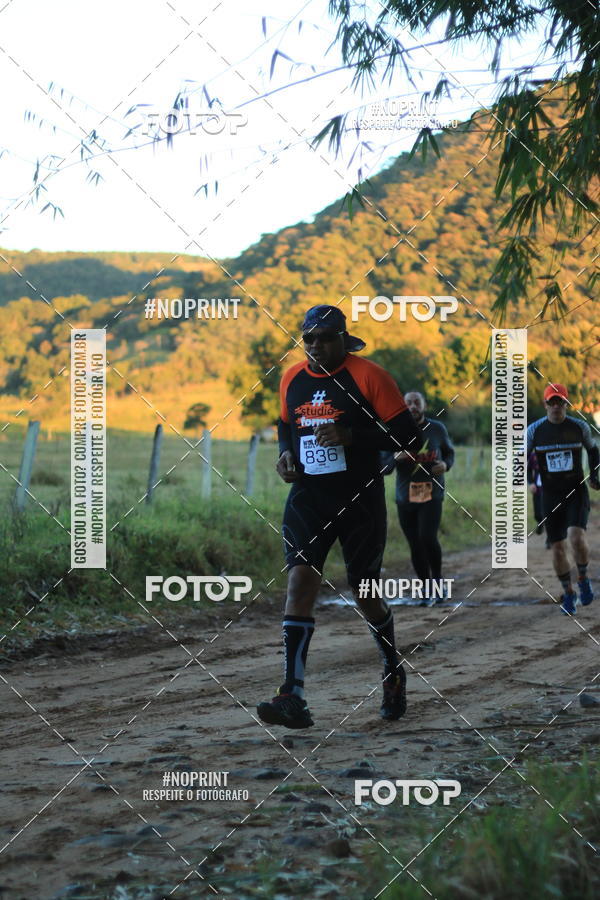 Buy your photos of the eventWolf Series - Botucatu on Fotop