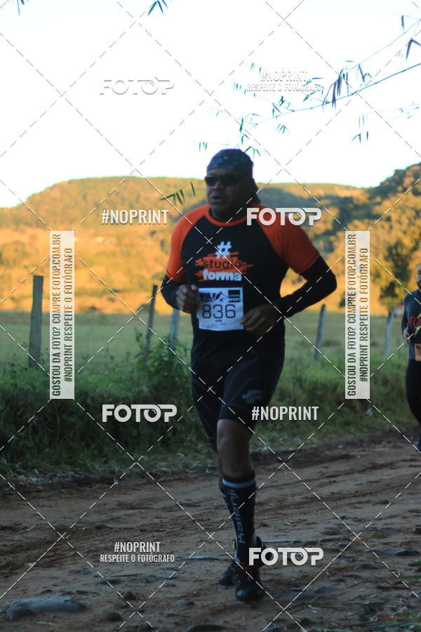 Buy your photos of the eventWolf Series - Botucatu on Fotop