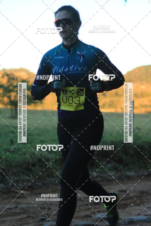 Buy your photos of the eventWolf Series - Botucatu on Fotop