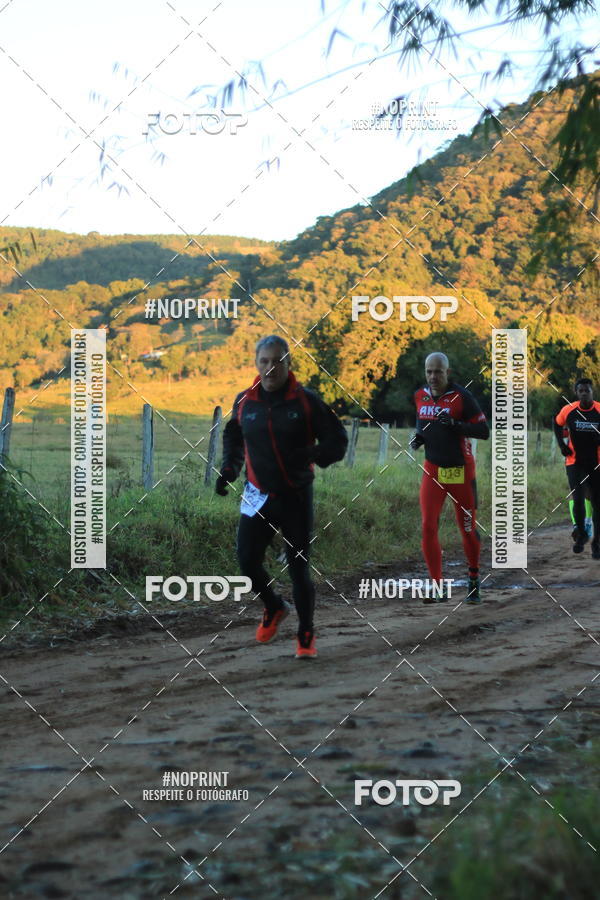 Buy your photos of the eventWolf Series - Botucatu on Fotop